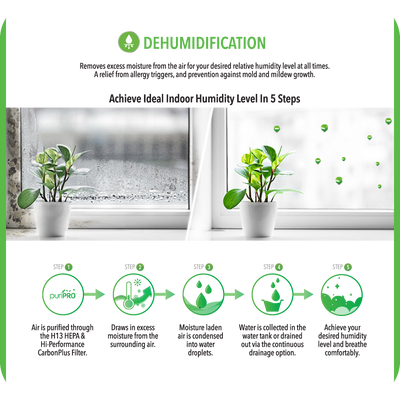 Non-Refundable Pre-Payment for New Homeowners - Dehumidifier + Air Purifier The 2-In-1 ND25.5+