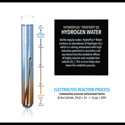 HydroPlus® Premium Water Ionizer NP11000