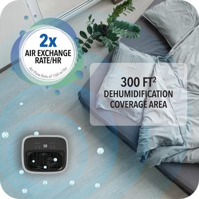 An innovative bed with the novita Dehumidifier ND288 built-in to ensure optimal sleep environment.
