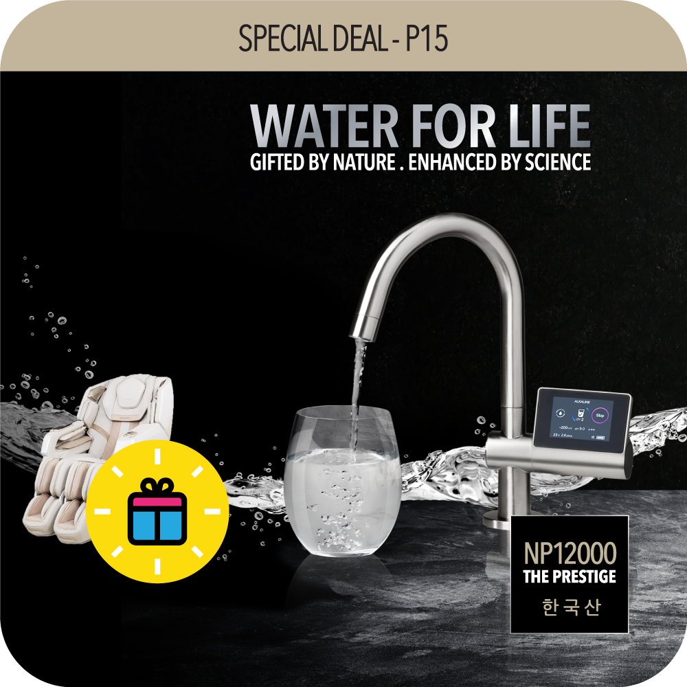 Special Deal P15 - HydroPlus® Premium Undersink Water Ionizer NP12000